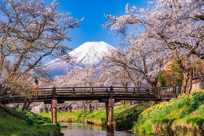 From Tokyo: Mount Fuji Sightseeing One Day Trip - Key highlights to know before you go