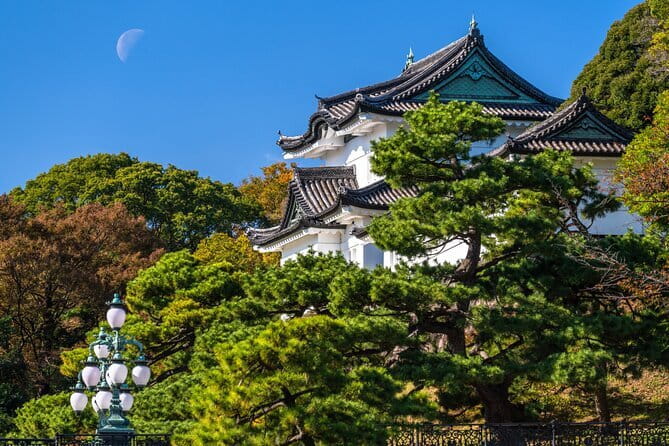 From Tokyo: Mount Fuji Sightseeing One Day Trip - Weather, crowds, and the timing trick that keeps the day working