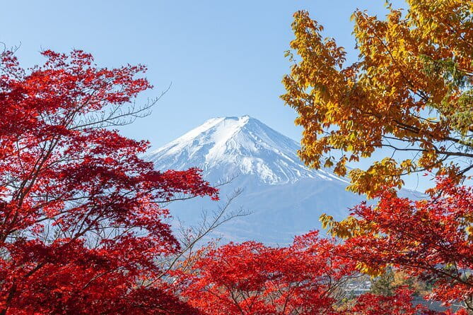 From Tokyo: Mount Fuji Sightseeing One Day Trip - Entering the Fuji postcard zone: Chureito Pagoda and Arakura Shrine