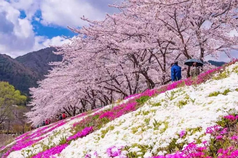 From Tokyo: Mt. Fuji 5th station and Oshino Hakkai Day Trip - Oishi Park: Season Colors Without Needing a Separate Ticket Plan