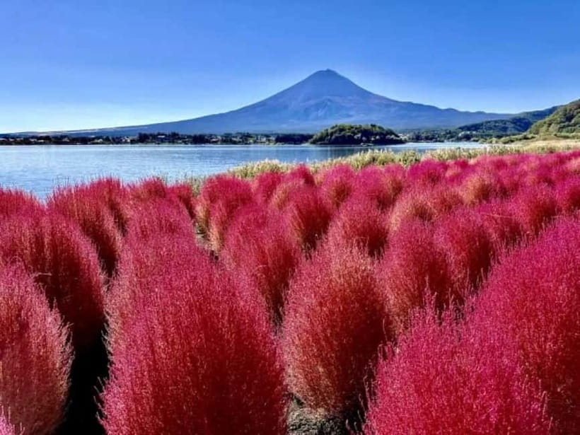 From Tokyo: Mt. Fuji 5th station and Oshino Hakkai Day Trip - Pace and Timing: What 10 Hours Feels Like in Real Life