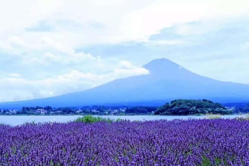 From Tokyo: Mt. Fuji 5th station and Oshino Hakkai Day Trip - The Morning Game Plan: Shinjuku LOVE Statue and an 8:00 AM Departure