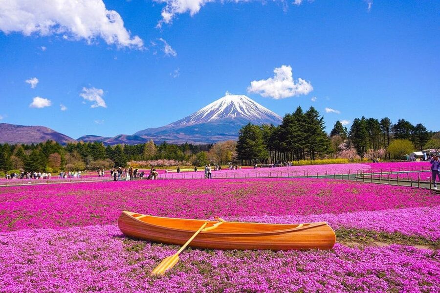From Tokyo: Mt. Fuji And Hakone Private Sightseeing Day Trip - Oshino Hakkai and Saiko Iyashi-no-Sato Nenba: Traditional Scenes, Short and Sweet