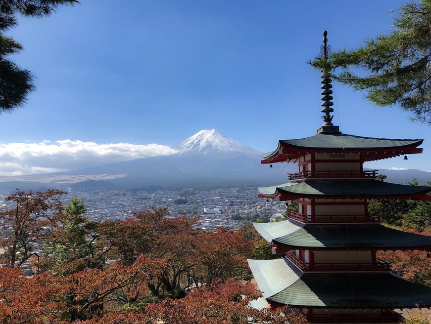 From Tokyo: Mt. Fuji And Hakone Private Sightseeing Day Trip - The Driver Factor: How Guides Like Amir, Ishii, and Zubi Shape the Day