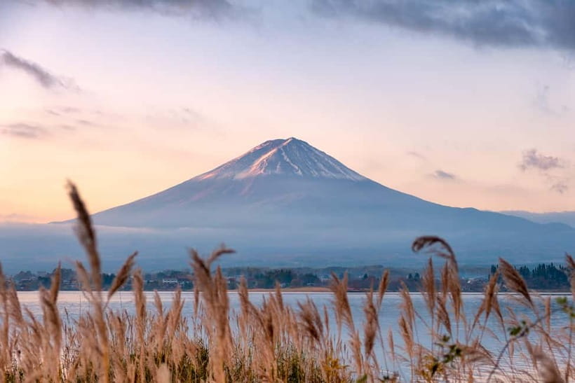 From Tokyo: Mt.Fuji & Gotemba Private Customizable Day Trip. - A private Fuji and Gotemba day that actually feels flexible