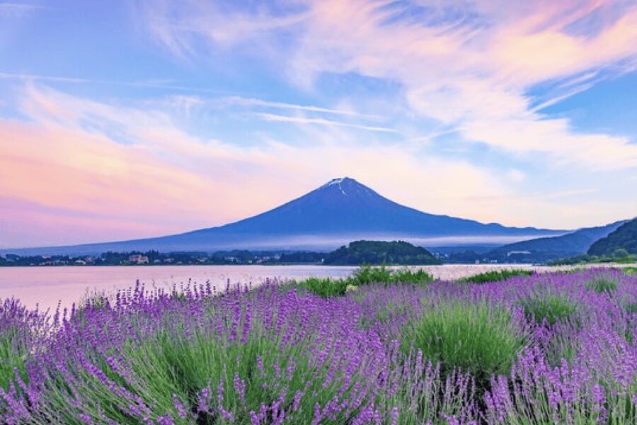 From Tokyo: Mt. Fuji, Hakone, Owakudani & Lake Ashi Bus Tour - Key Points You Should Know Before Going