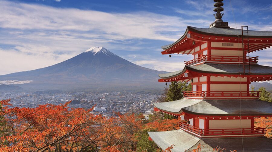 From Tokyo: Mt. Fuji, Hakone, Owakudani & Lake Ashi Bus Tour - Riding Out of Tokyo Toward Mt. Fuji: Use the Drive Time