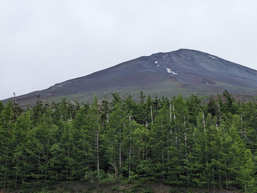 From Tokyo: Mt. Fuji & Hakone Tour w/ Return by Bullet Train - Price and Logistics: Why $117 Can Be a Smart Deal