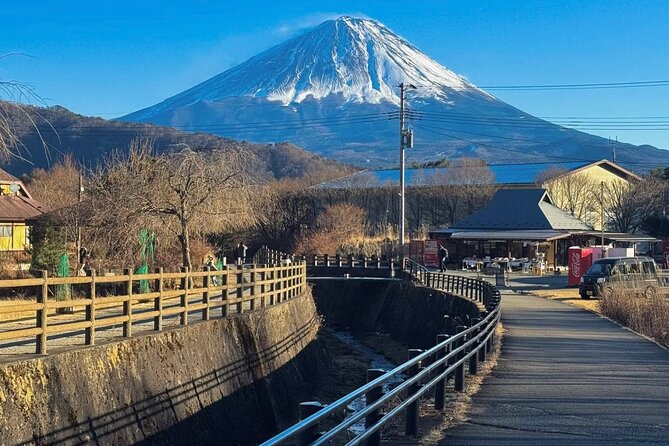 From Tokyo Mt.Fuji, Lake Kawaguchi, Makaino Farm day tour - Saiko Iyashi no Sato Nemba: A Thatched Village Stop with Included Entry