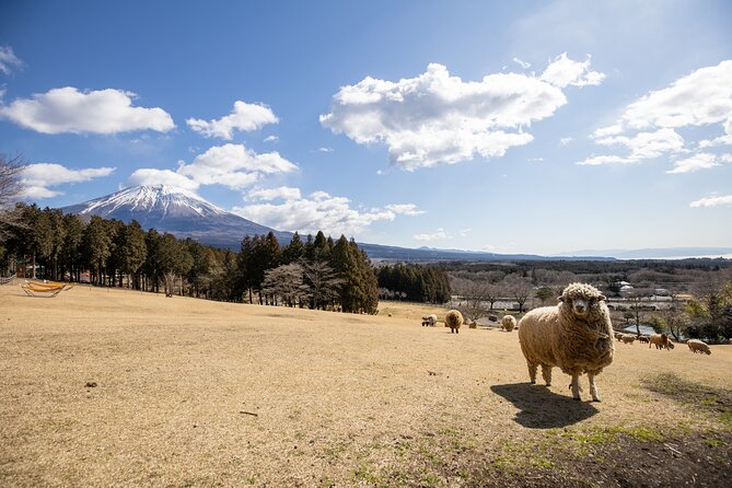 From Tokyo Mt.Fuji, Lake Kawaguchi, Makaino Farm day tour - The Bus Ride Experience: Comfort, Timing, and Staying Flexible