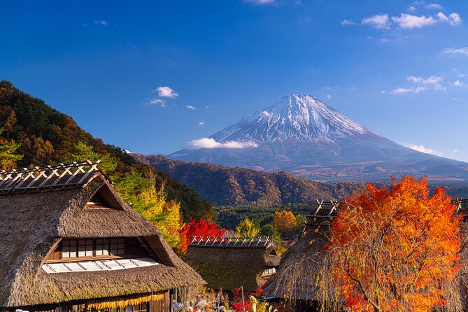 From Tokyo Mt.Fuji, Lake Kawaguchi, Makaino Farm day tour - Who This Day Trip Fits Best