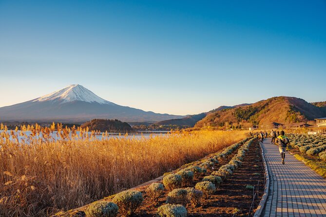 From Tokyo Mt.Fuji, Lake Kawaguchi, Makaino Farm day tour - Oishi Park: Quick Lake Kawaguchi Views and Photo Stops