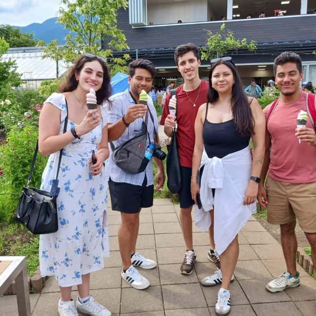 From Tokyo: Mt Fuji Private Day Tour In Luxury Land Cruiser - Arakurayama Sengen Park, Chureito Pagoda, and a Shrine Stop in Cedar Forests