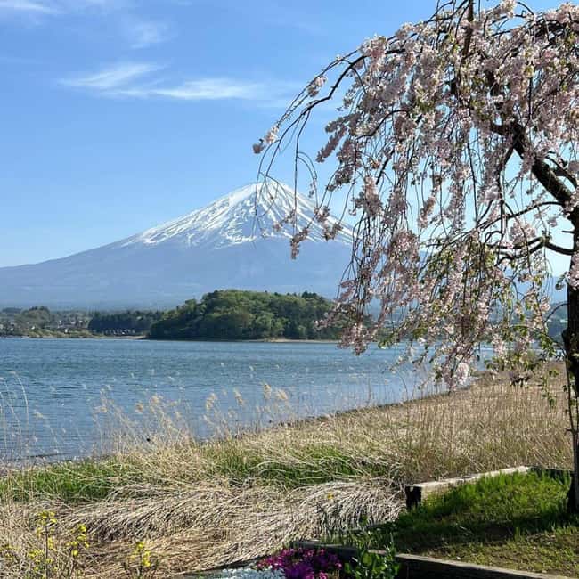 From Tokyo: Mt Fuji Private Day Tour In Luxury Land Cruiser - Pickup From Your Hotel, Clear Timing, and What Private Really Changes