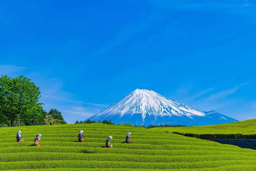 From Tokyo: Must-Visit Mount Fuji Highlight Full-Day Tour - Arakurayama Sengen Park and Chureito Pagoda, the postcard moment