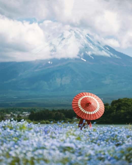 From Tokyo: Must-Visit Mount Fuji Highlight Full-Day Tour - Lake Kawaguchi and Oishi Park, reflections and flower color