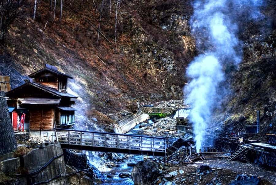From Tokyo: Nagano Full Day Private Snow Monkey Park Tour - What you should pack and how to plan for winter days