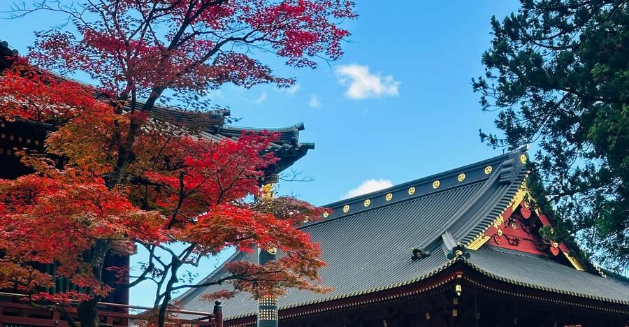 From Tokyo: Nikko Customize private Tour With English Driver - Key highlights and why they matter
