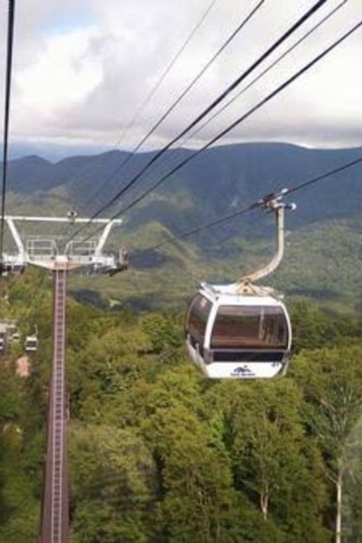 From Tokyo: Nikko luxury Tour with English-speaking Guide - Key Things You’ll Want to Know Before You Go