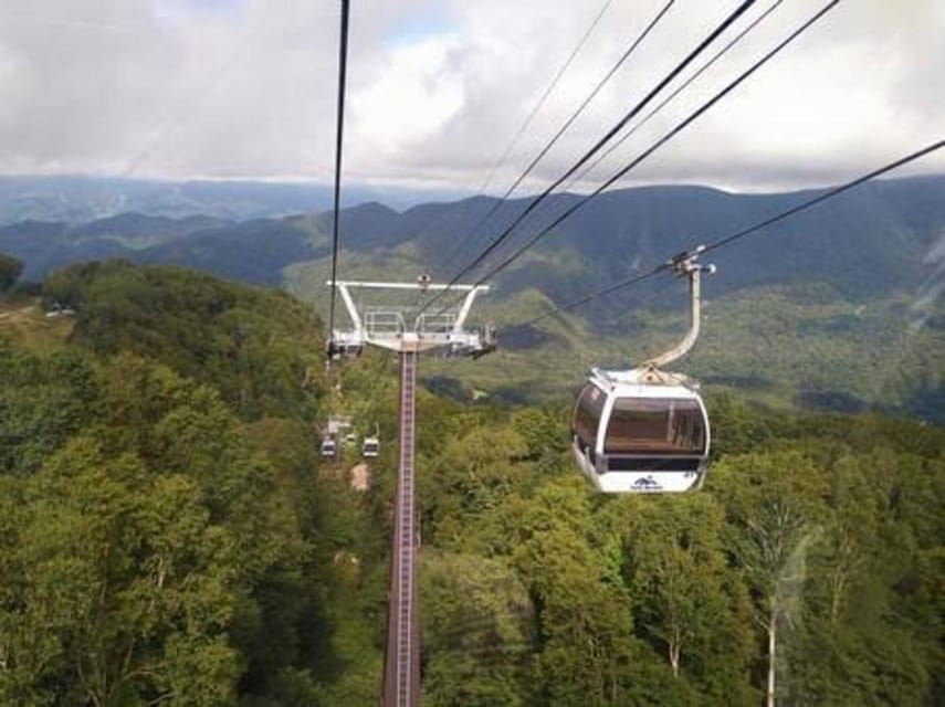 From Tokyo: Nikko luxury Tour with English-speaking Guide - How This Tokyo to Nikko Day Trip Really Works