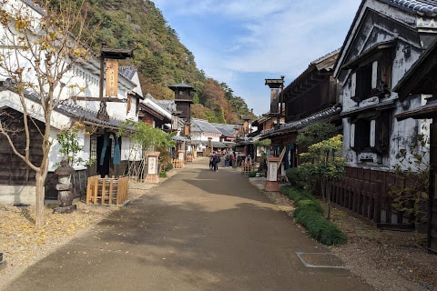 From Tokyo: Nikko luxury Tour with English-speaking Guide - Toshogu Shrine and Tokugawa Ieyasu’s Mausoleum