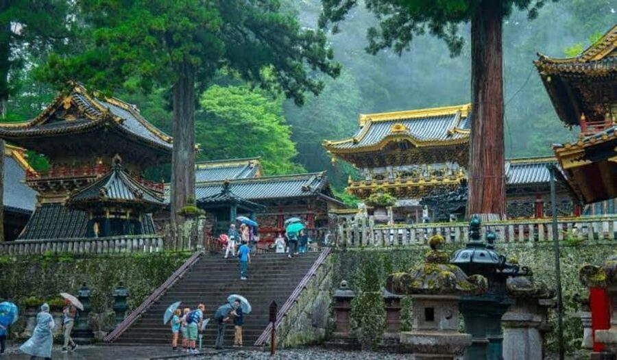 From Tokyo: Nikko luxury Tour with English-speaking Guide - Nikko Toshogu Art Museum: Culture Without Feeling Stuffed