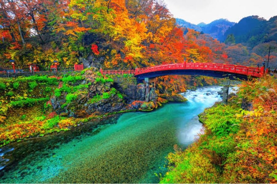 From Tokyo: Nikko luxury Tour with English-speaking Guide - Kegon Falls: The Big Waterfall Moment