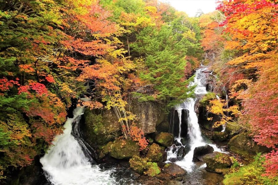 From Tokyo: Nikko World Heritage Site Private Full-Day Trip - Why This Private Nikko Day Trip Feels Like a Real Upgrade