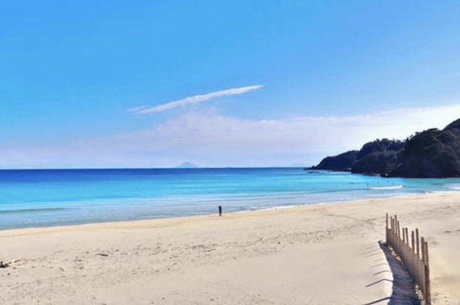 From Tokyo: Private Day Trip to Izu & Shimoda, Shizuoka - Key takeaways before you go