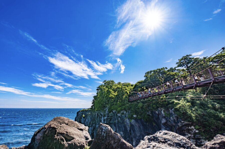 From Tokyo: Private Day Trip to Izu & Shimoda, Shizuoka - Ryosenji Temple and the Japan-U.S. treaty site: history you can actually picture