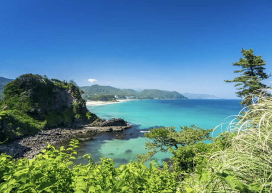 From Tokyo: Private Day Trip to Izu & Shimoda, Shizuoka - What makes the guide matter on this itinerary