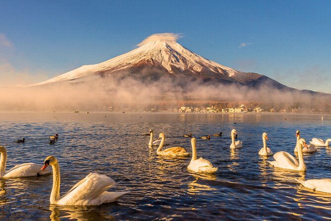 From Tokyo: Private Day Trip to Mount Fuji & Fuji Five lakes - Key takeaways before you go