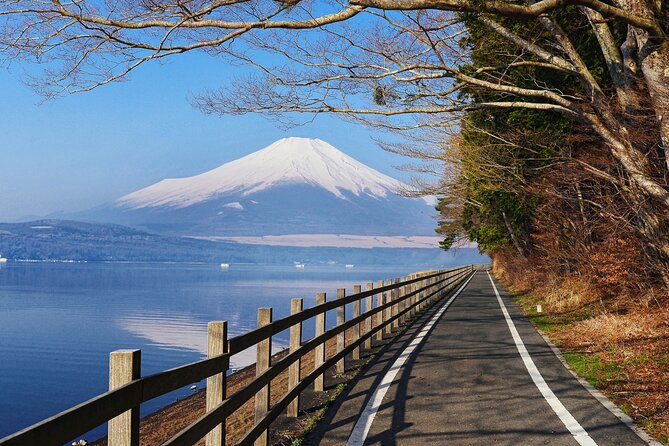 From Tokyo: Private Day Trip to Mount Fuji & Fuji Five lakes - Lake Yamanaka: the largest Fuji Five Lakes, with a big reflection potential