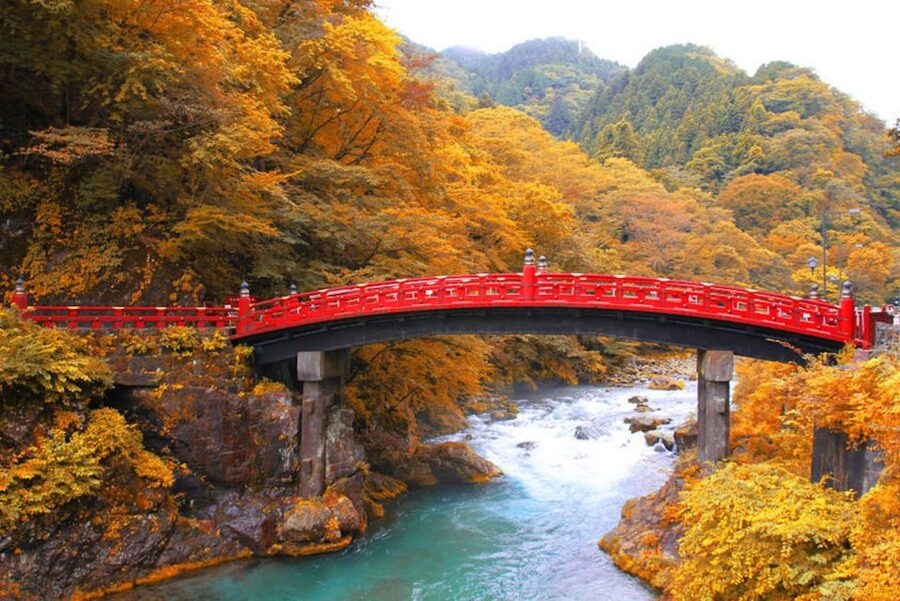 From Tokyo: Private Day Trip to Nikko and Lake Chuzenji - Toshogu Shrine and Tokugawa Ieyasu: the main event