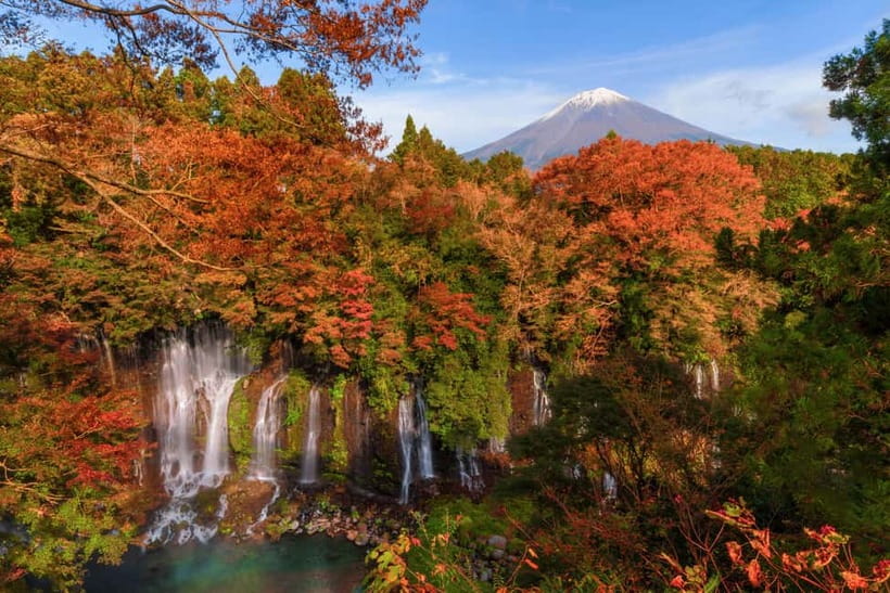 From Tokyo: Private JDM/Sports Car Tour to Mt Fuji & Hakone - Price and value: is $387 per person worth it?