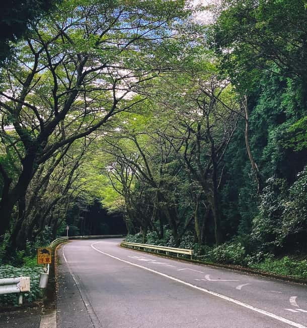 From Tokyo: Private JDM/Sports Car Tour to Mt Fuji & Hakone - How the guide tailoring works in real life