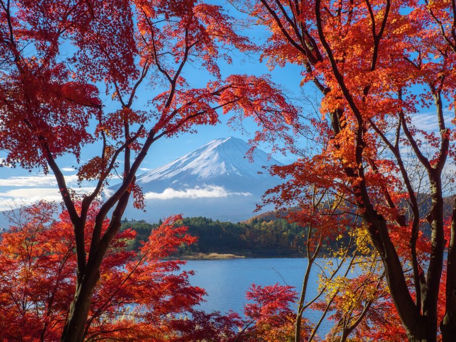 From Tokyo: Private Motorcycle Tour - Fuji, Hakone, Onsen - Lake Ashi and Hakone Shrine: Stops That Feel Like a Real Break