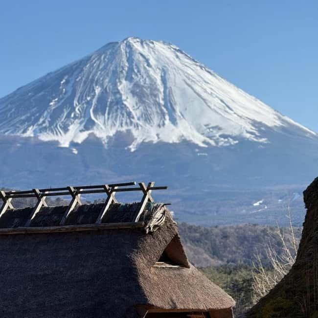 From Tokyo Private Mount Fuji & Hakone Day Trip With Pick Up - Key things I’d zoom in on