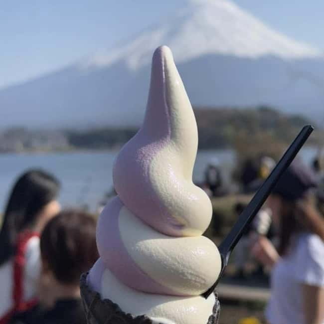 From Tokyo Private Mount Fuji & Hakone Day Trip With Pick Up - What To Bring, Weather Reality, and Comfort Notes