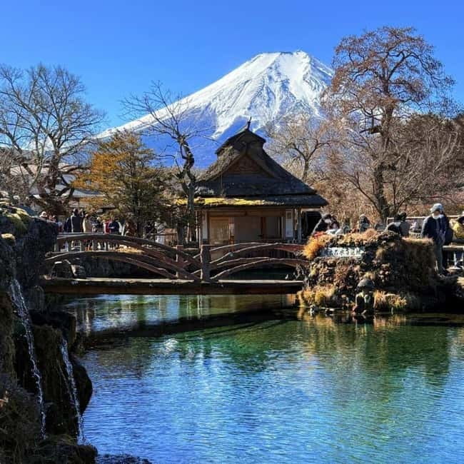 From Tokyo Private Mount Fuji & Hakone Day Trip With Pick Up - Why This Private Fuji and Hakone Day Trip Feels Like A Shortcut