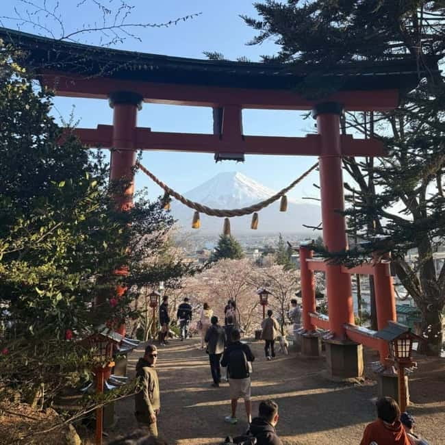 From Tokyo Private Mount Fuji & Hakone Day Trip With Pick Up - Hakone Ropeway Over Volcanic Country, Then Lake Ashi