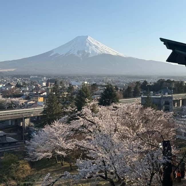 From Tokyo Private Mount Fuji & Hakone Day Trip With Pick Up - Price, Tickets, and The Value Of Booking A Private Driver
