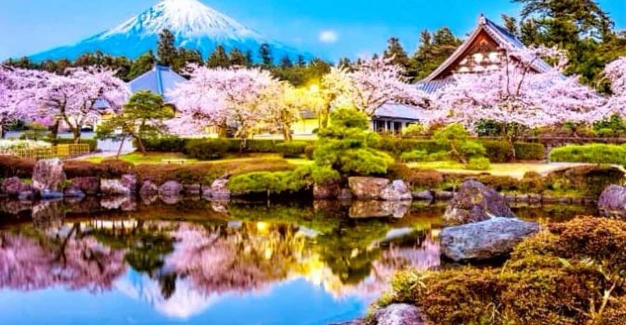 From Tokyo:private Mount Fuji tour with guide - From Tokyo to Fuji, with a private car that buys you time