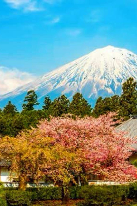 From Tokyo:private Mount Fuji tour with guide - Oshino Hakkai ponds, Fuji water up close