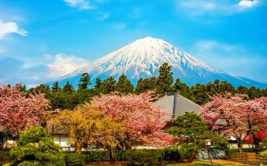 From Tokyo:private Mount Fuji tour with guide - What to expect on timing, and the Mt. Fuji 5th station reality