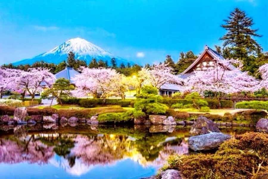 From Tokyo:private Mount Fuji tour with guide - Chureito Pagoda and the Fuji photo you will actually want to take
