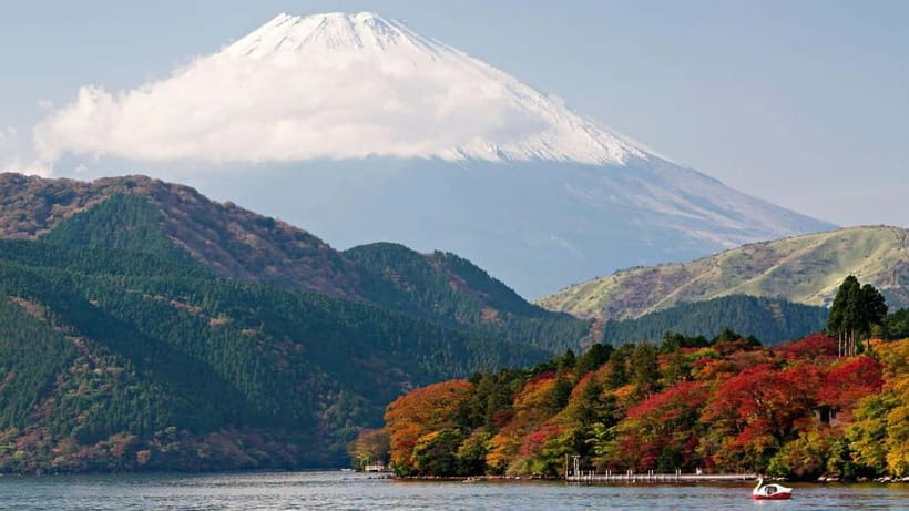 From Tokyo: Private Mt. Fuji and Hakone Tour by Car - Key things that make this day trip work