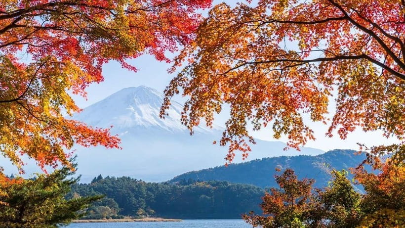 From Tokyo: Private Mt. Fuji and Hakone Tour by Car - Fuji and Hakone by private car, the value in one long day