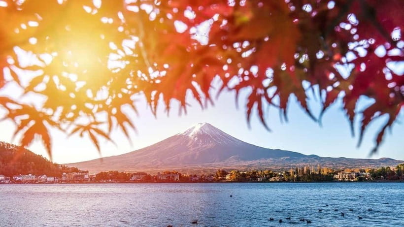 From Tokyo: Private Mt. Fuji and Hakone Tour by Car - The morning transfer: getting out of Tokyo without losing the day