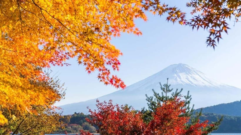 From Tokyo: Private Mt. Fuji and Hakone Tour by Car - Lunch in Hakone: how to handle food without stress